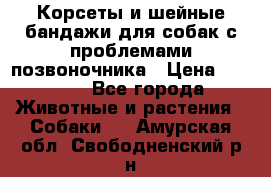 Корсеты и шейные бандажи для собак с проблемами позвоночника › Цена ­ 2 500 - Все города Животные и растения » Собаки   . Амурская обл.,Свободненский р-н